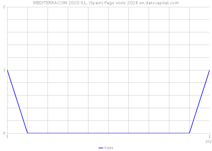 MEDITERRACOM 2020 S.L. (Spain) Page visits 2024 
