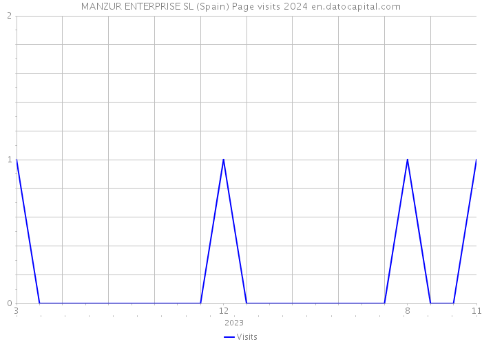 MANZUR ENTERPRISE SL (Spain) Page visits 2024 