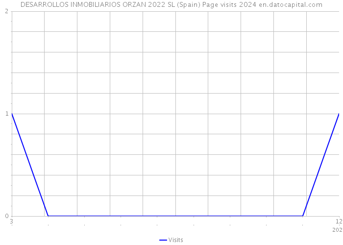 DESARROLLOS INMOBILIARIOS ORZAN 2022 SL (Spain) Page visits 2024 