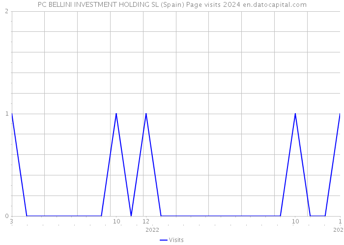 PC BELLINI INVESTMENT HOLDING SL (Spain) Page visits 2024 