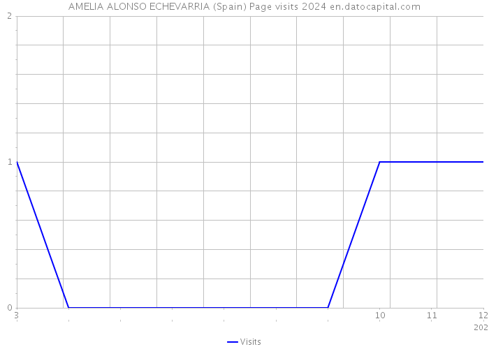 AMELIA ALONSO ECHEVARRIA (Spain) Page visits 2024 
