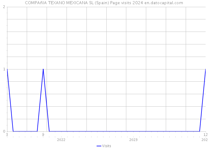 COMPAñIA TEXANO MEXICANA SL (Spain) Page visits 2024 