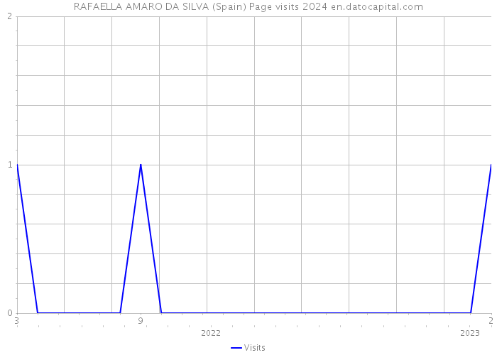 RAFAELLA AMARO DA SILVA (Spain) Page visits 2024 