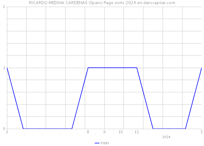 RICARDO MEDINA CARDENAS (Spain) Page visits 2024 
