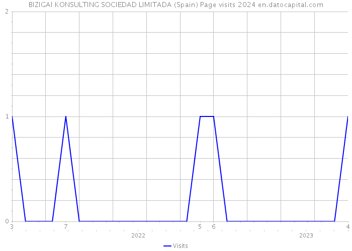 BIZIGAI KONSULTING SOCIEDAD LIMITADA (Spain) Page visits 2024 