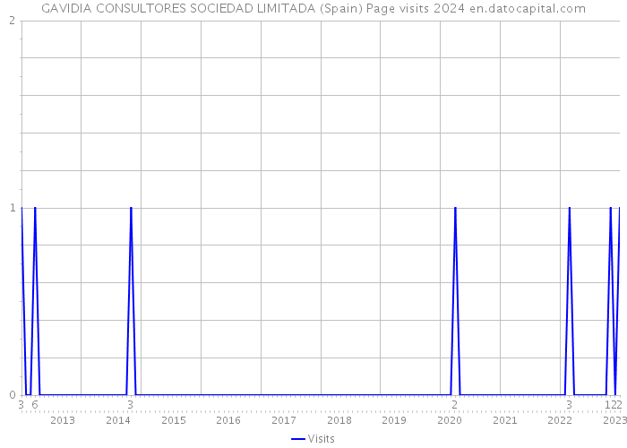 GAVIDIA CONSULTORES SOCIEDAD LIMITADA (Spain) Page visits 2024 