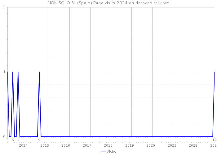 NON SOLO SL (Spain) Page visits 2024 
