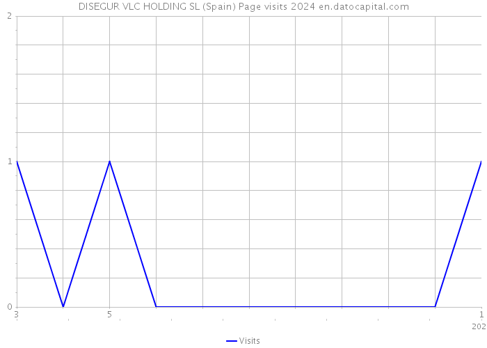 DISEGUR VLC HOLDING SL (Spain) Page visits 2024 
