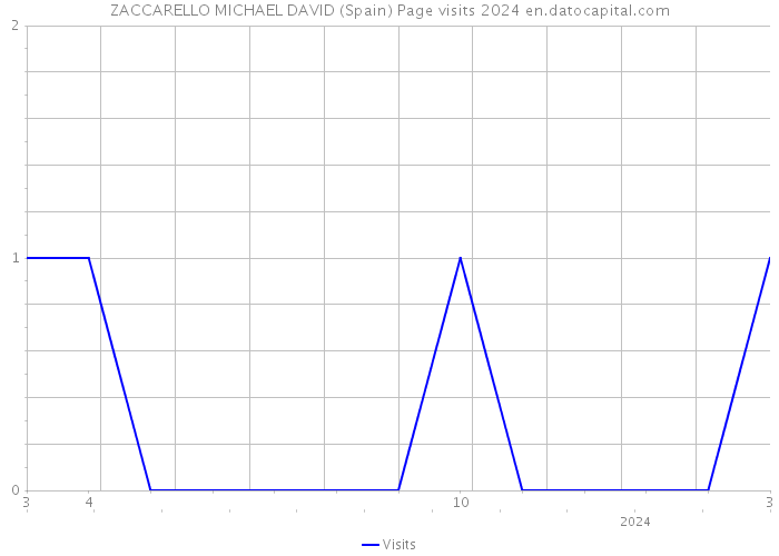 ZACCARELLO MICHAEL DAVID (Spain) Page visits 2024 
