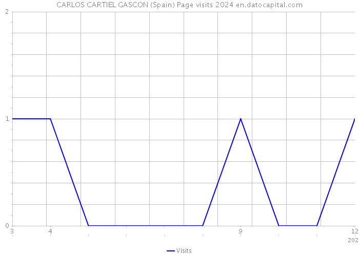 CARLOS CARTIEL GASCON (Spain) Page visits 2024 