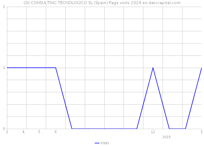 GN CONSULTING TECNOLOGICO SL (Spain) Page visits 2024 