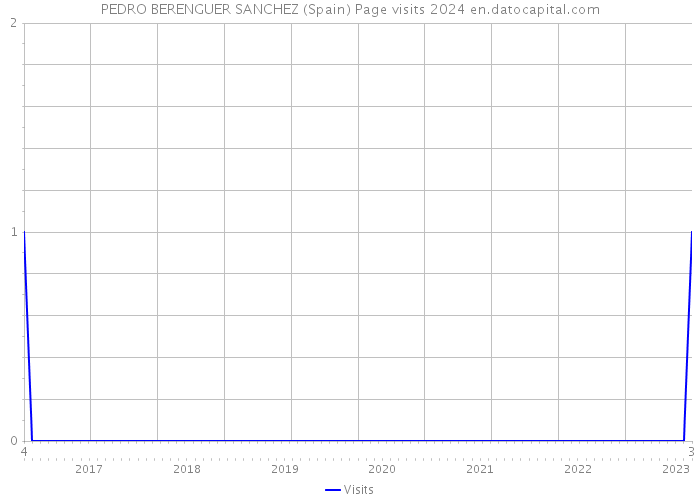 PEDRO BERENGUER SANCHEZ (Spain) Page visits 2024 