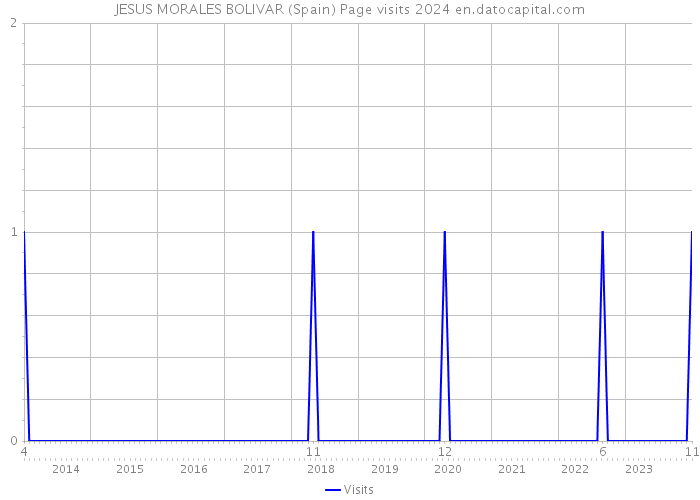 JESUS MORALES BOLIVAR (Spain) Page visits 2024 