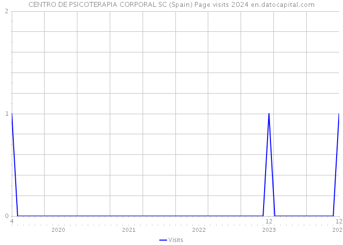 CENTRO DE PSICOTERAPIA CORPORAL SC (Spain) Page visits 2024 