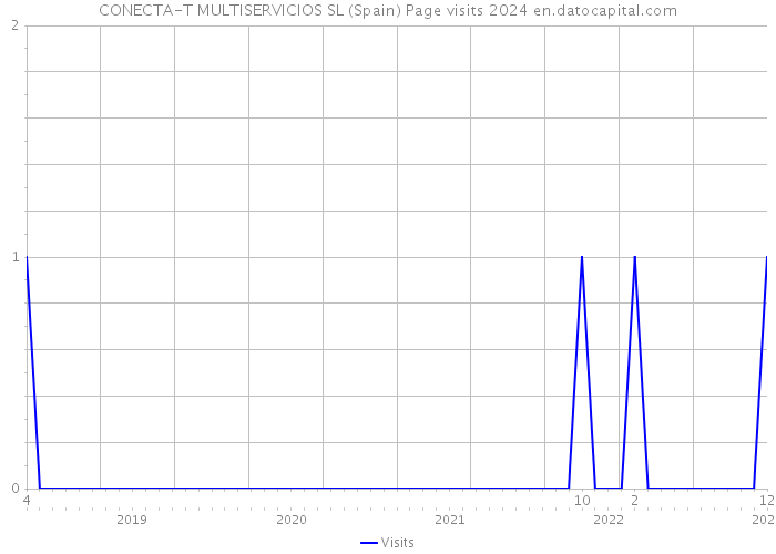 CONECTA-T MULTISERVICIOS SL (Spain) Page visits 2024 