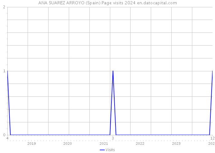 ANA SUAREZ ARROYO (Spain) Page visits 2024 
