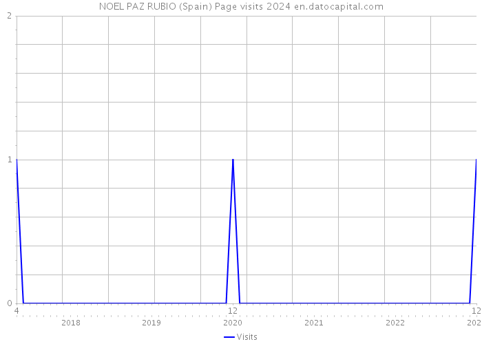 NOEL PAZ RUBIO (Spain) Page visits 2024 