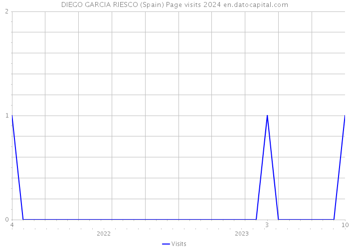 DIEGO GARCIA RIESCO (Spain) Page visits 2024 