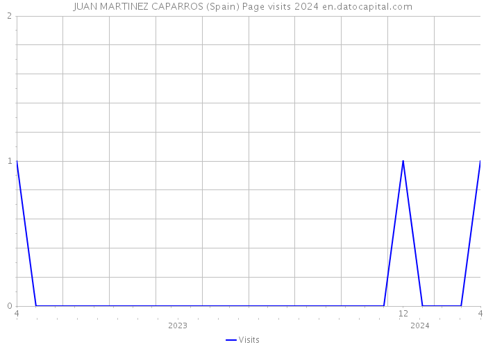 JUAN MARTINEZ CAPARROS (Spain) Page visits 2024 