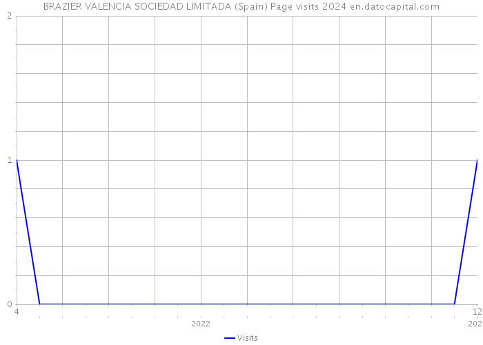 BRAZIER VALENCIA SOCIEDAD LIMITADA (Spain) Page visits 2024 