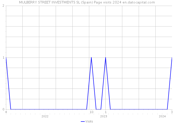 MULBERRY STREET INVESTMENTS SL (Spain) Page visits 2024 