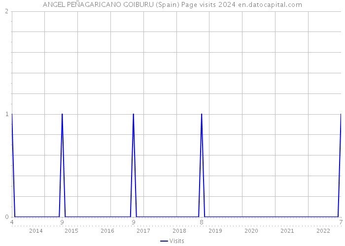 ANGEL PEÑAGARICANO GOIBURU (Spain) Page visits 2024 