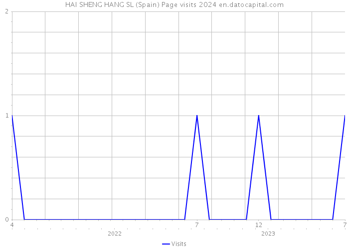 HAI SHENG HANG SL (Spain) Page visits 2024 