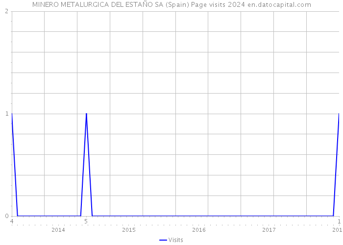 MINERO METALURGICA DEL ESTAÑO SA (Spain) Page visits 2024 