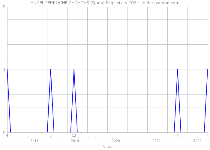 ANGEL PEDROCHE CAÑADAS (Spain) Page visits 2024 