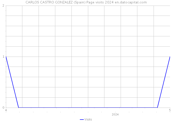CARLOS CASTRO GONZALEZ (Spain) Page visits 2024 