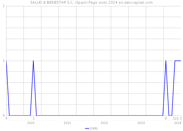 SALUD & BIENESTAR S.C. (Spain) Page visits 2024 