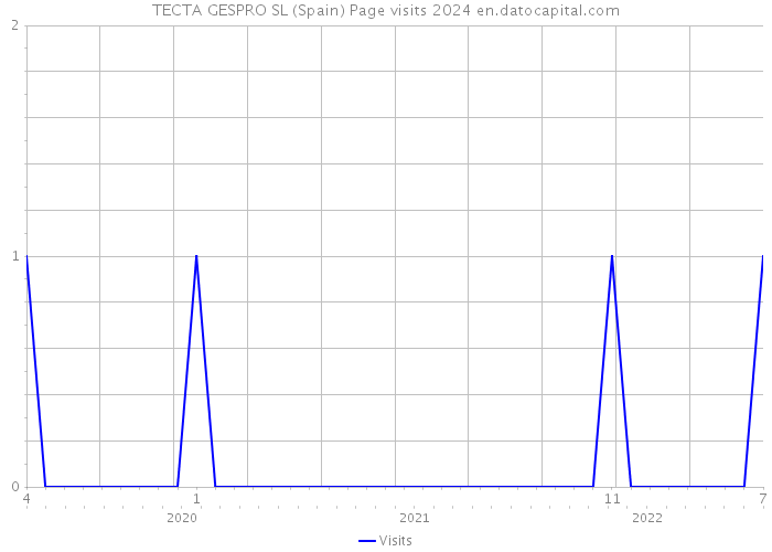 TECTA GESPRO SL (Spain) Page visits 2024 