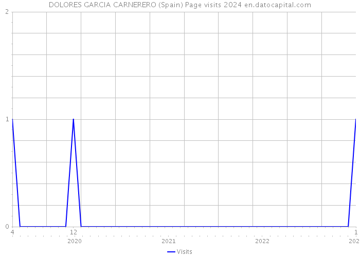 DOLORES GARCIA CARNERERO (Spain) Page visits 2024 