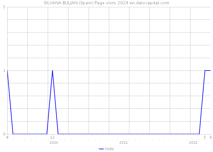 SILVANA BULJAN (Spain) Page visits 2024 