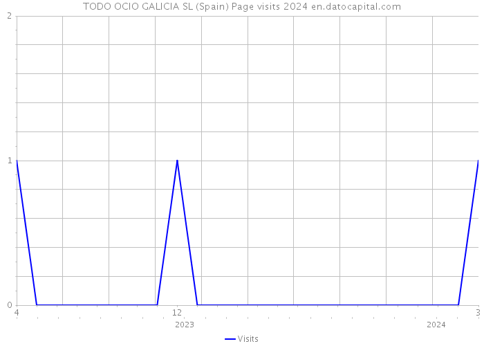 TODO OCIO GALICIA SL (Spain) Page visits 2024 