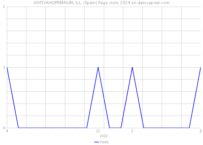 ANTIVAHOPREMIUM, S.L. (Spain) Page visits 2024 