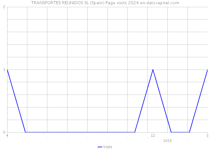 TRANSPORTES REUNIDOS SL (Spain) Page visits 2024 