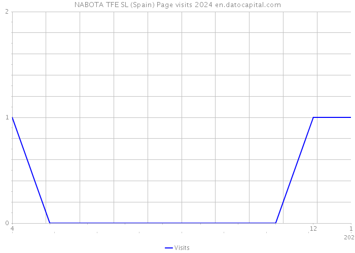 NABOTA TFE SL (Spain) Page visits 2024 