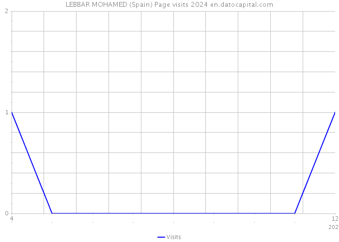 LEBBAR MOHAMED (Spain) Page visits 2024 