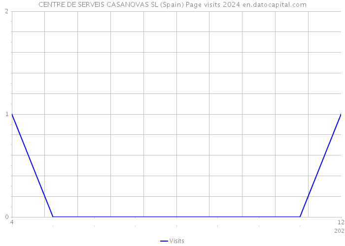 CENTRE DE SERVEIS CASANOVAS SL (Spain) Page visits 2024 