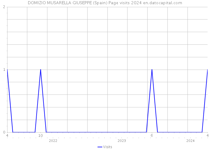 DOMIZIO MUSARELLA GIUSEPPE (Spain) Page visits 2024 