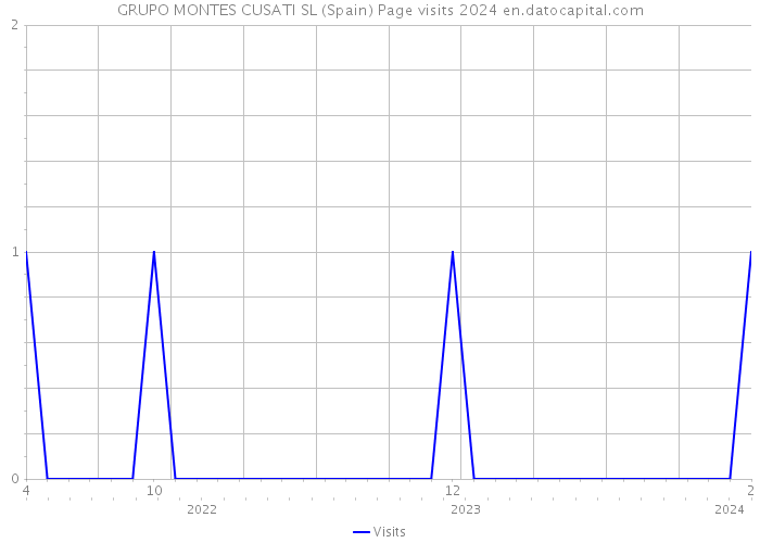 GRUPO MONTES CUSATI SL (Spain) Page visits 2024 