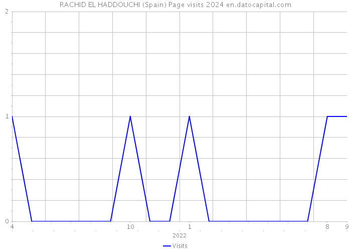 RACHID EL HADDOUCHI (Spain) Page visits 2024 