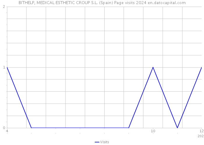 BITHELP, MEDICAL ESTHETIC CROUP S.L. (Spain) Page visits 2024 
