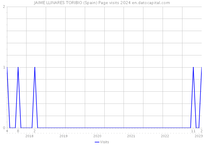 JAIME LLINARES TORIBIO (Spain) Page visits 2024 