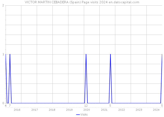 VICTOR MARTIN CEBADERA (Spain) Page visits 2024 