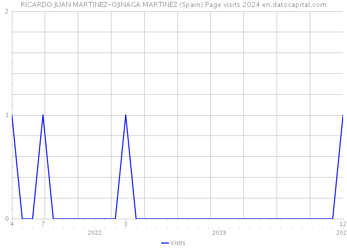 RICARDO JUAN MARTINEZ-OJINAGA MARTINEZ (Spain) Page visits 2024 