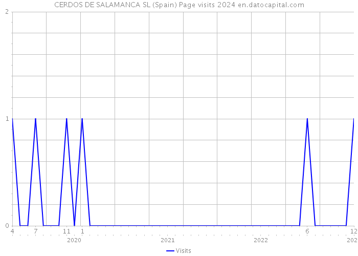 CERDOS DE SALAMANCA SL (Spain) Page visits 2024 