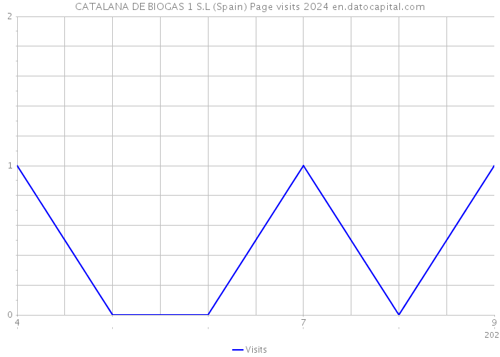 CATALANA DE BIOGAS 1 S.L (Spain) Page visits 2024 