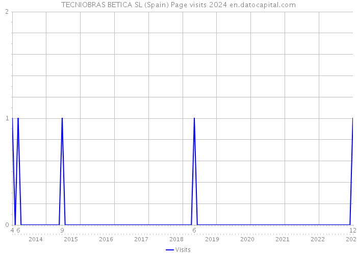 TECNIOBRAS BETICA SL (Spain) Page visits 2024 